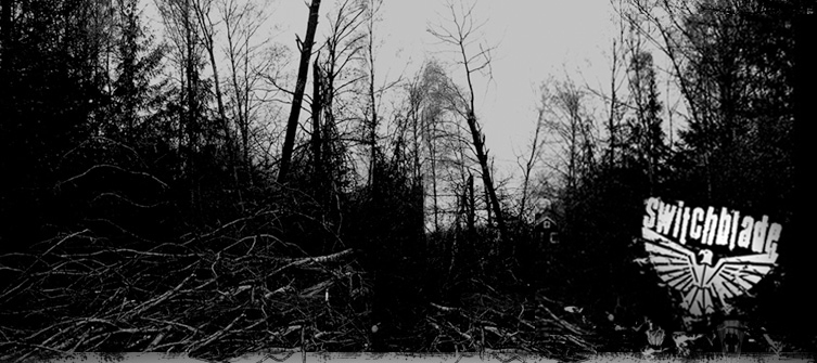 Picture showing the cover of the 2006 album/record